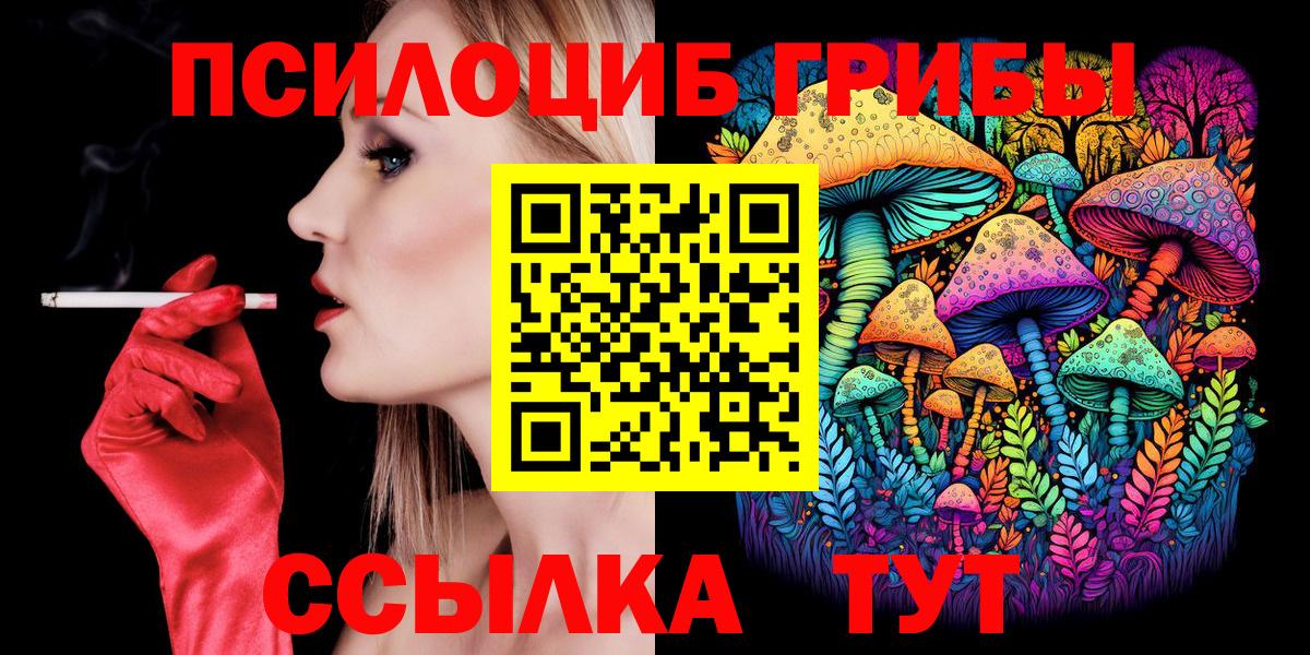 Белгород  Псилоцибиновые грибы Cubensis  Вход с VPN 